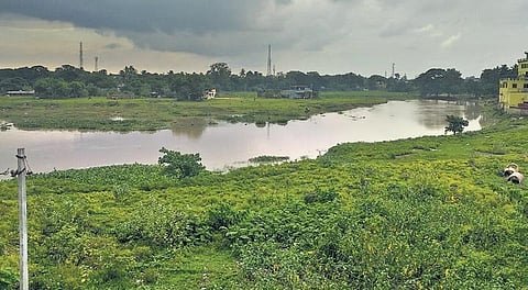 Gobari river in Kendrapara town. (File photo| EPS)