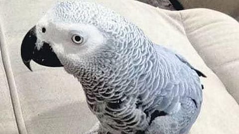 Image used for representational purposes.