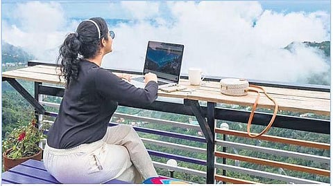 ​  A millennial on workation at Udaipur.