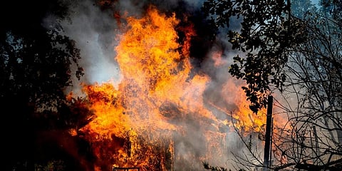 Flames from the Oak Fire consume a home on Triangle Road in Mariposa County, Calif. (Photo |AP)