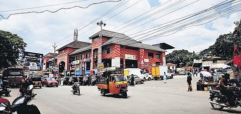 A trade centre amid wild banyan trees