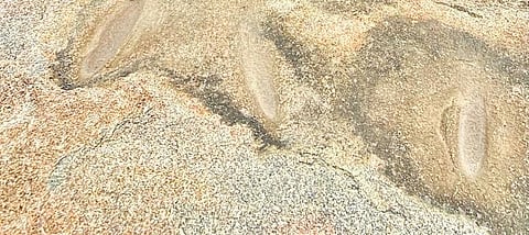 Neolithic grooves found near hilltop temple in Telangana's Devarkadra