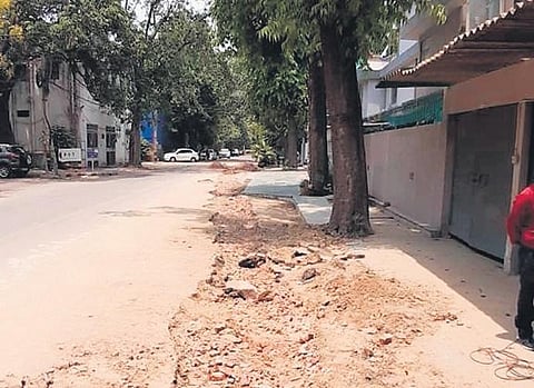 Representative picture