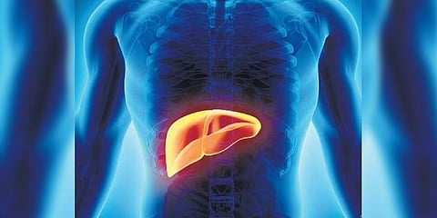 How to keep hepatitis at bay