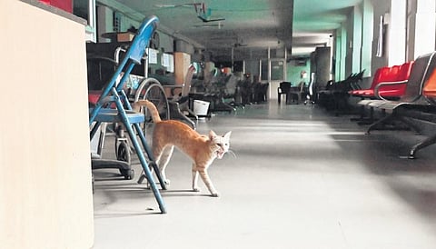 File pic of a vacant Thiruvananthapuram corporation office  during the recent  two-day general strike | Vincent Pulickal
