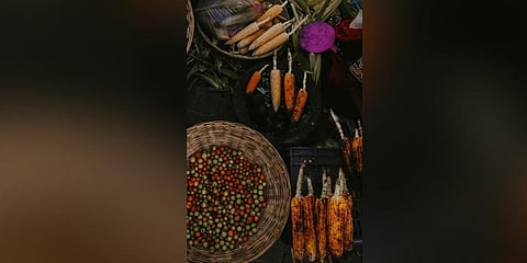 Tales of corn to muse on