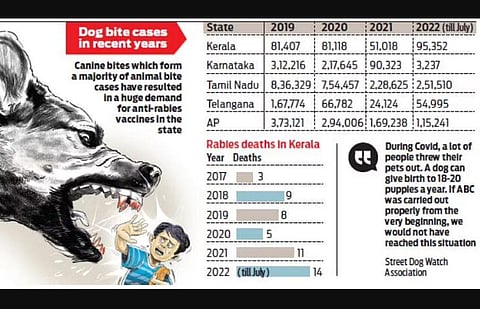 Kerala records 95k dog bite cases this year