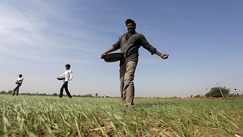 Farmers working on a field. Image used for representational purposes only.