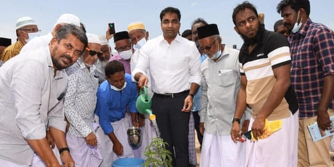 Thoothukudi Collector Dr K Senthil Raj planting an African Baobab tree sapling at Karpudaiyar Palli in Kayalpattinam. (Photo| EPS)