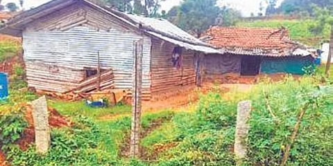 Metur village in Lingadahalli hobli is home to around 70 residents. (Photo| EPS)