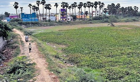 Dried-out Korattur lake and the buildings around it. (Photo| EPS)