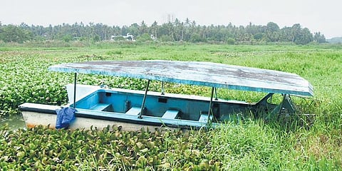 Akkulam lake filled with water hyacinth and filth. A scene from Boat Club | B P Deepu