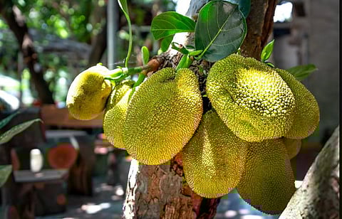 Image used for representational purpose only.