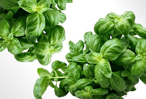 Image used for representational purpose only.