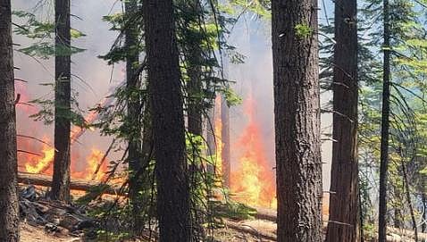 The Washburn Fire at Yosemite National Park. (Photo | Yosemite NPS Twitter)
