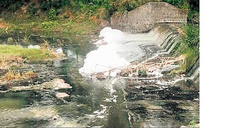 A layer of foam can be seen on the surface of the river, allege residents | Express