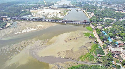Yamuna left with no land for growing plants: DDA