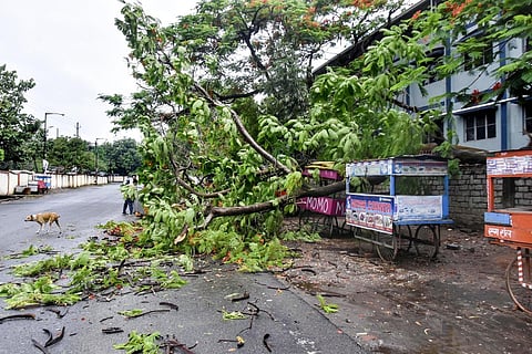 Image used for representational purpose only. (File Photo | PTI)