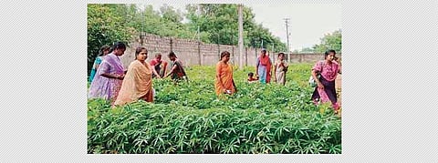 SHG members visit a garden in Hyderabad