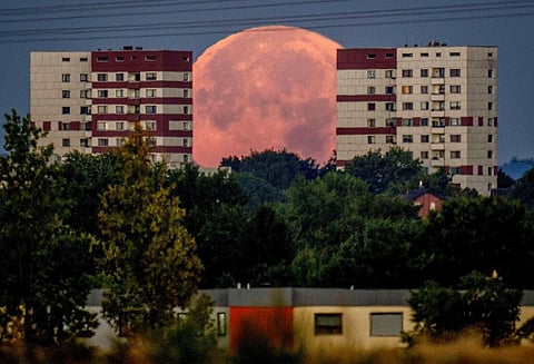 The full moon sets behind apartment houses on the outskirts of Frankfurt, Germany. Stargazers enjoy a stunning glimpse of 'Sturgeon Moon' which marked the last of four supermoons this year in the early hours of Friday morning, having appeared bigger than 