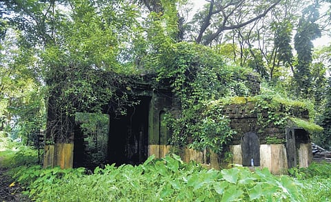 Nature has taken over the abandoned Old Railway Station in Kochi | A Sanesh
