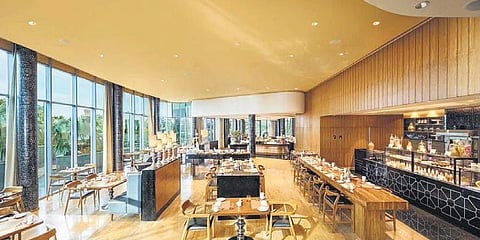 Taste of independence