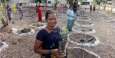 Coimbatore Corporation to inaugurate 75 Miyawaki forests on I-Day