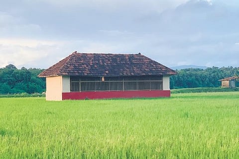 Bharathapuzha, Bhagavathis and blockbusters