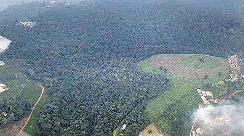 Forest department’s claim of planting 74 Lakh trees in Balangir disputed