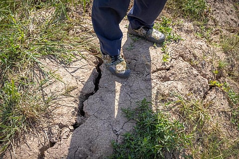Farmer stands above a deep crack in the dried mud of an earthen embankment in his field on the outskirts of Chongqing, China. (Photo | AP)