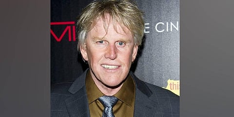 Gary Busey charged with sex offenses at Monster Mania Convention