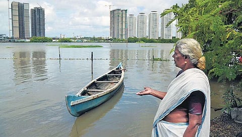 A view from the backyard of the house of Indira, a 65-year-old resident of Thanthonni Thuruth. | TP Sooraj