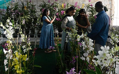 Citizens seen buying plants at the Hearty Culture Expo 2022 in the People’s Plaza in Hyderabad on Saturday | Vinay Madapu