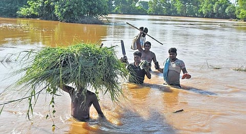People wade through waist-deep Dhanua river floodwater near a breach at Tinkipada village in Khurda on Sunday | DEBADATTA MALLICK