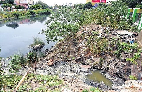 An outfall opening to the Cooum. As per an official report, 100% sewer outfalls in Cooum river basin were plugged  | R Satish Babu