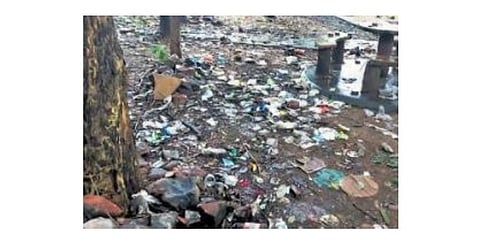 Plastic waste dumped at the right dyke picnic spot | Express