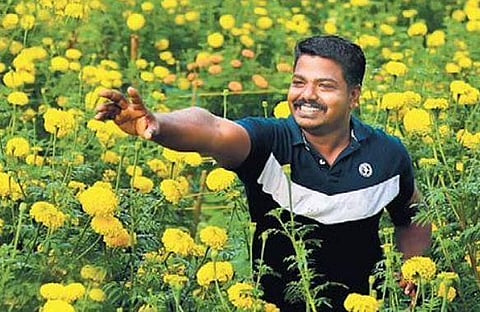 Sujith Swaminikartil at his marigold field in Cherthala 