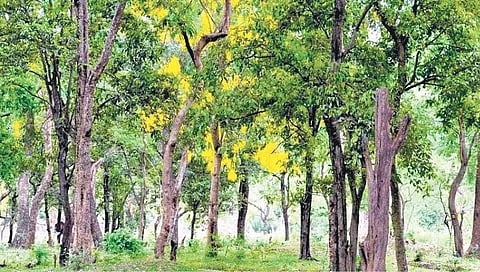 Image for representational purpose only.