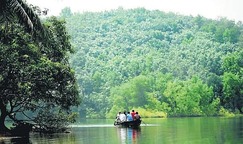 A trip to the ‘Netherlands of Kerala’