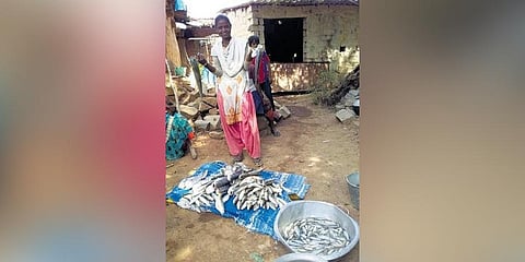 The Johar Project raised villagers’ earnings to multiple times more than what they were getting through traditional ways of fish farming.(Photo | Express)