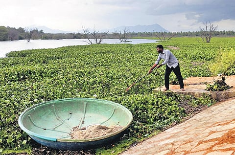 Manikandan aims to document 1,200 ponds in Coimbatore and put them in public domain |  S Senbagapandiyan
