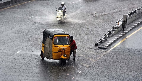 Image for representational purpose only. ( Photo | Martin Louis, EPS)