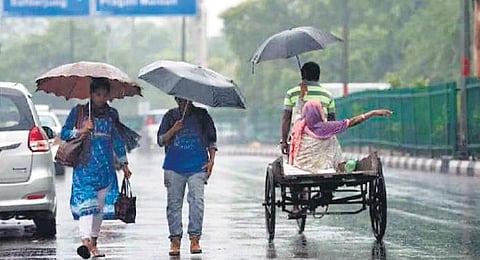 August, this year, recorded minimal rainfall in the last 14 years. (Photo | Express)