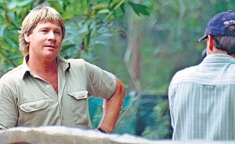 The baby lizard in my bathroom