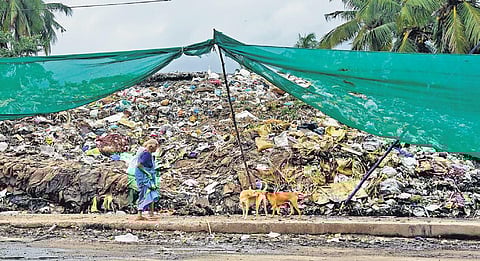 Waste dumped by city dwellers near Attakulangara bypass in Thiruvananthapuram | file pic
