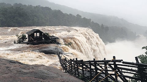 Athirappilly waterfalls in Thrissur district in full flow amid heavy rain.