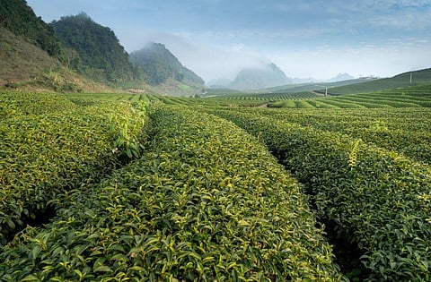 Image used for representational purposes only.