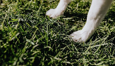 Image used for representational purposes only.