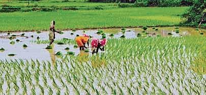 Image of farmers used for representational purposes only