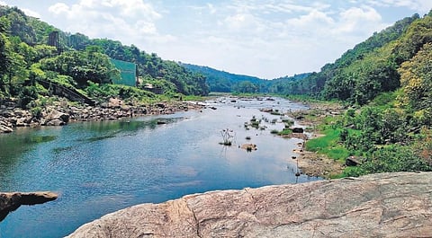 A ‘sweet’ trip to a river in the Sabarimala woods